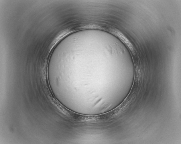 X0000115821002200912041623