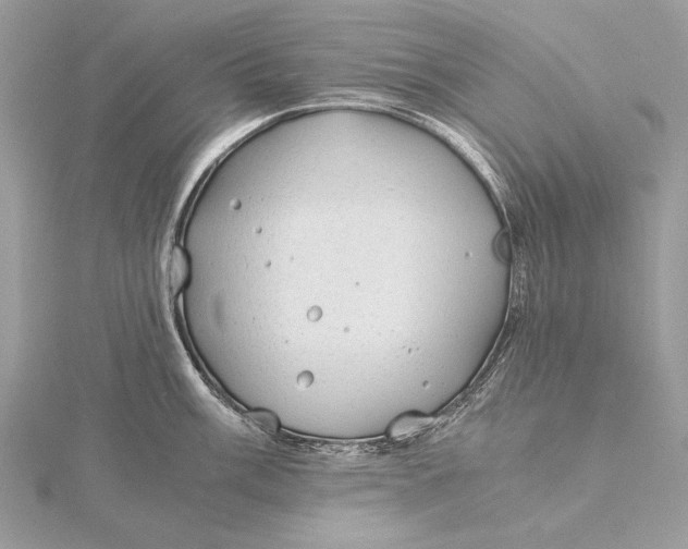 X0000115821003200912041623