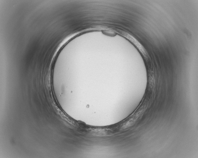 X0000115821004200912041623