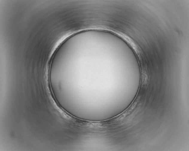 X0000115821006200912041623