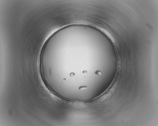 X0000115821007200912041623