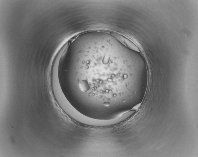 X0000115821008200912041623