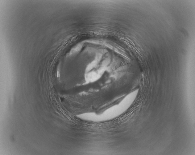 X0000115821009200912041623