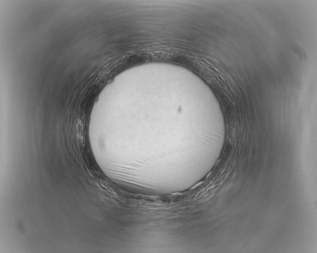 X0000115821010200912041623