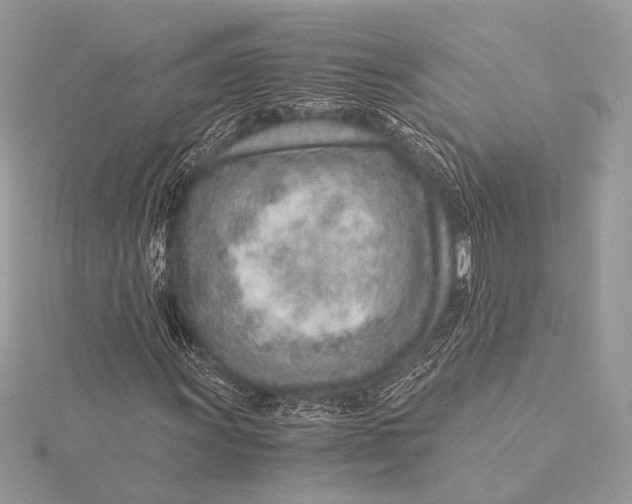 X0000115821011200912041623