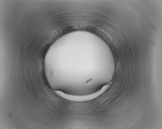 X0000115821012200912041623