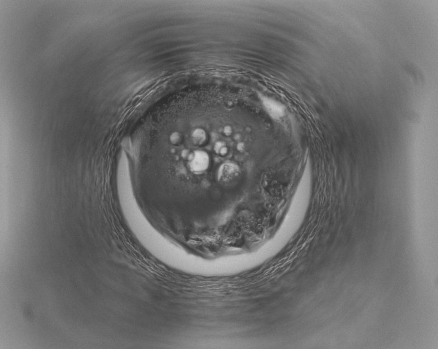 X0000115821013200912041623