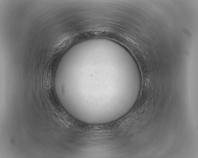 X0000115821014200912041623