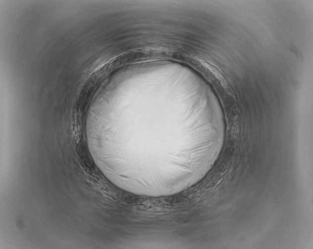 X0000115821015200912041623