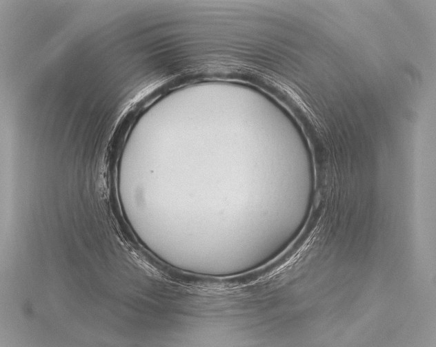 X0000115821018200912041623