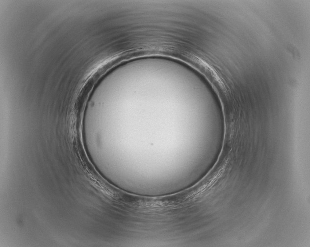 X0000115821019200912041623