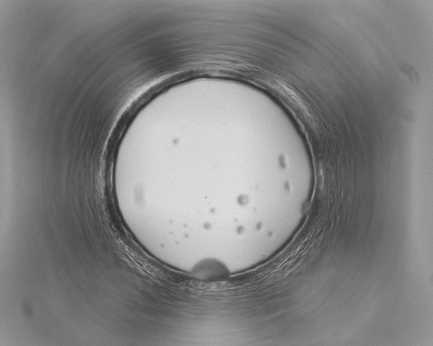 X0000115821020200912041623