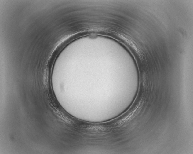 X0000115821021200912041623