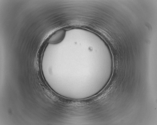 X0000115821022200912041623