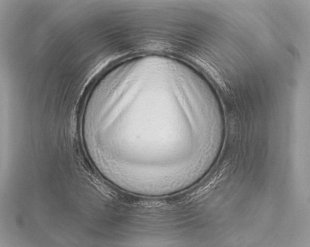 X0000115821023200912041623