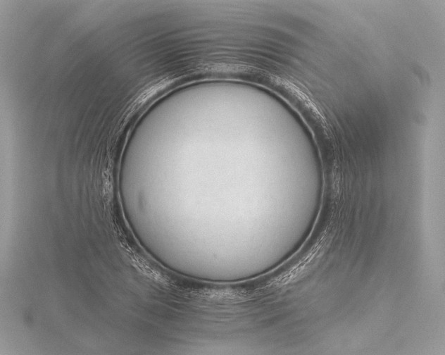 X0000115821025200912041623