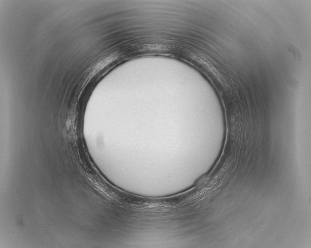 X0000115821026200912041623