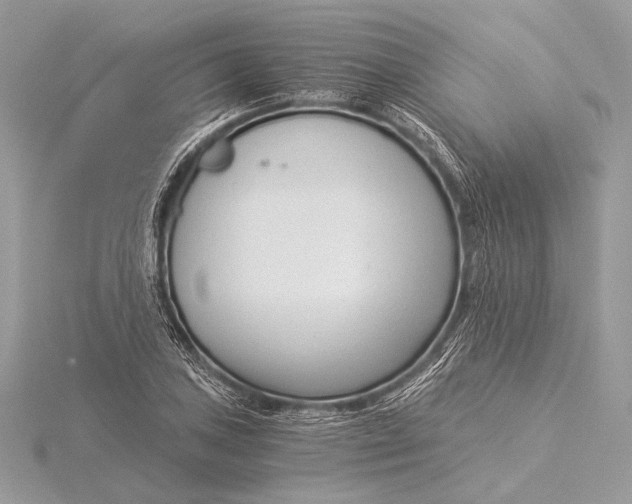 X0000115821027200912041623