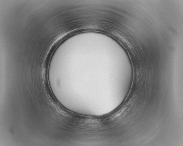 X0000115821029200912041623