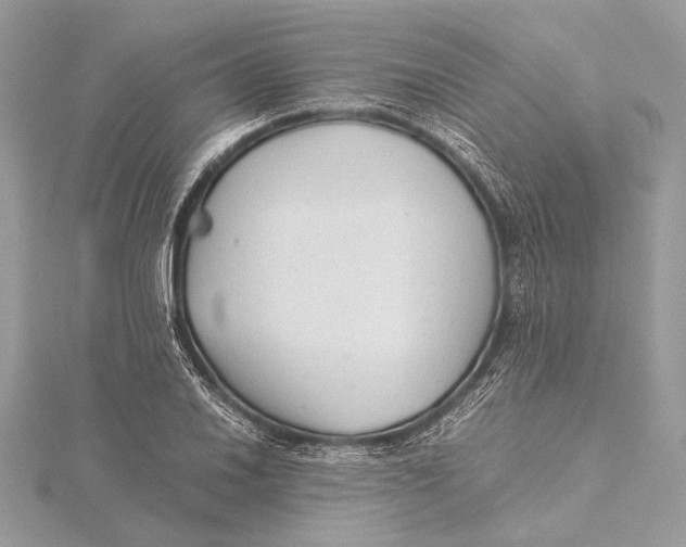 X0000115821030200912041623