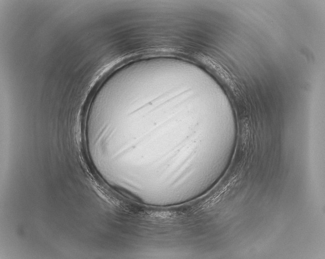 X0000115821031200912041623