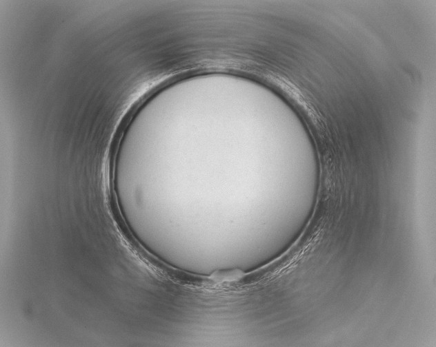 X0000115821032200912041623