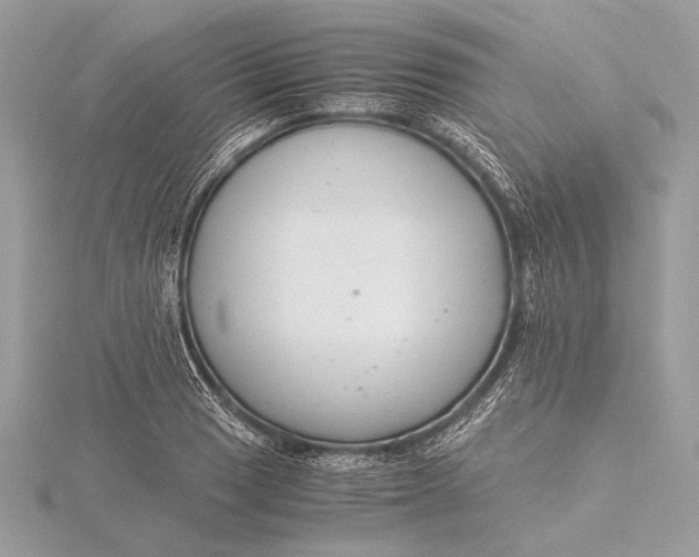 X0000115821033200912041623