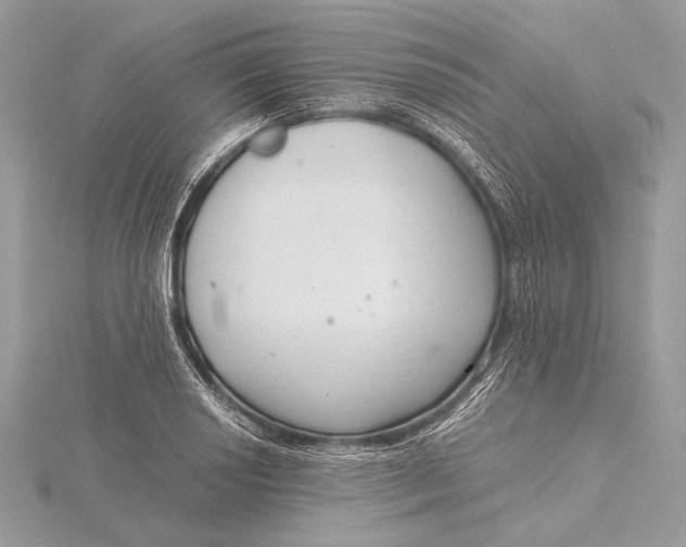 X0000115821034200912041623