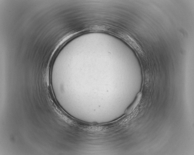 X0000115821036200912041623