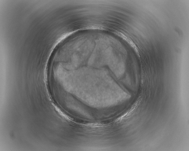 X0000115821037200912041623