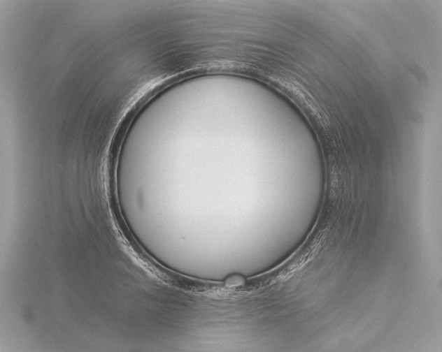 X0000115821038200912041623