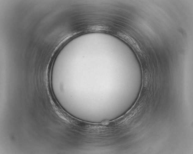 X0000115821039200912041623