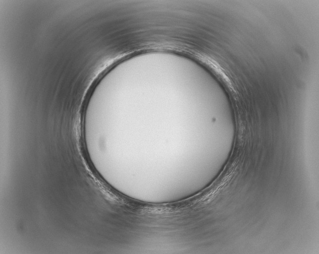 X0000115821040200912041623