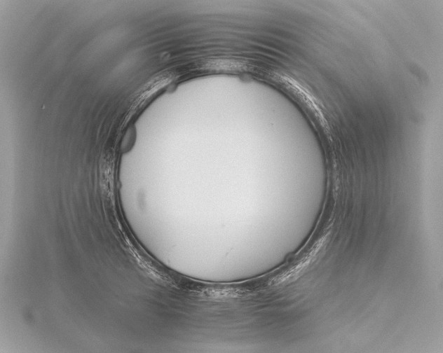 X0000115821041200912041623