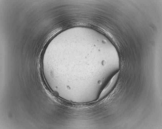 X0000115821042200912041623