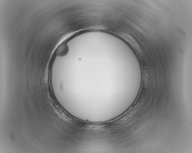 X0000115821044200912041623