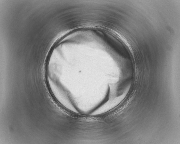 X0000115821045200912041623