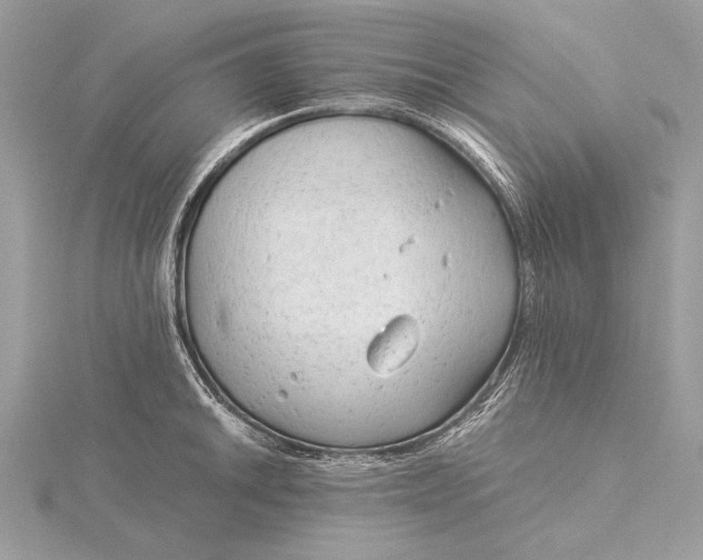 X0000115821046200912041623