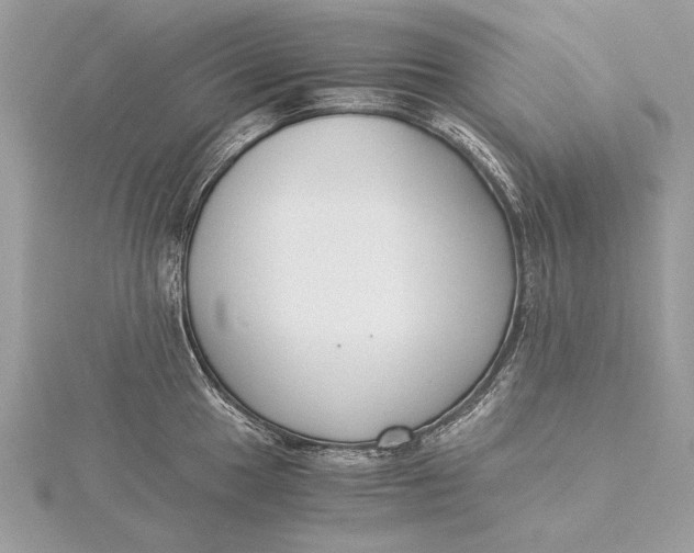 X0000115821049200912041623