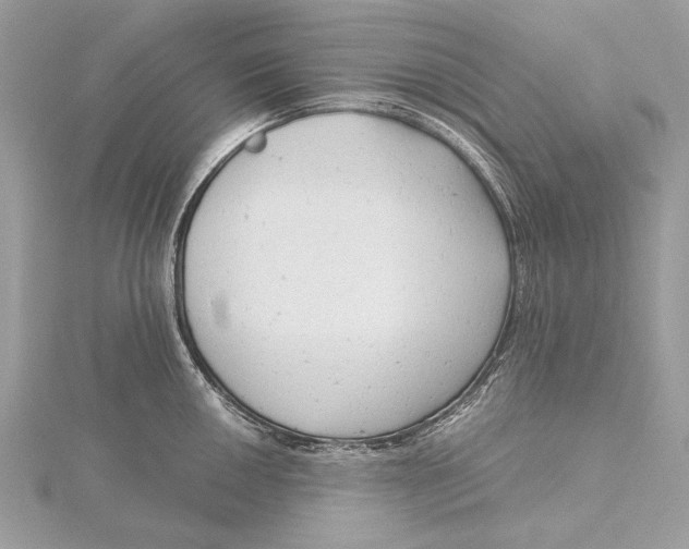 X0000115821050200912041623