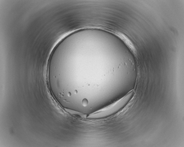 X0000115821052200912041623