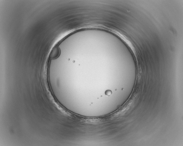 X0000115821053200912041623