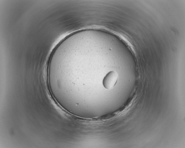 X0000115821054200912041623