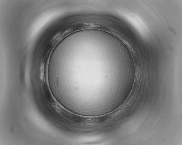 X0000115821055200912041623