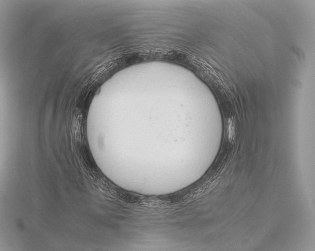 X0000115821059200912041623