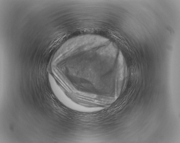 X0000115821060200912041623