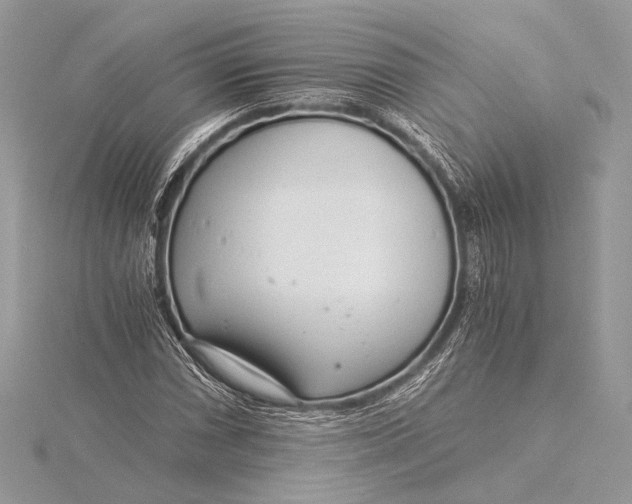 X0000115821066200912041623