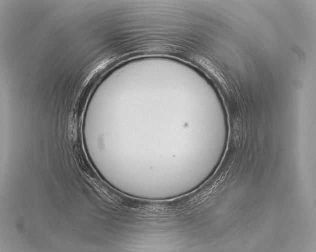 X0000115821067200912041623