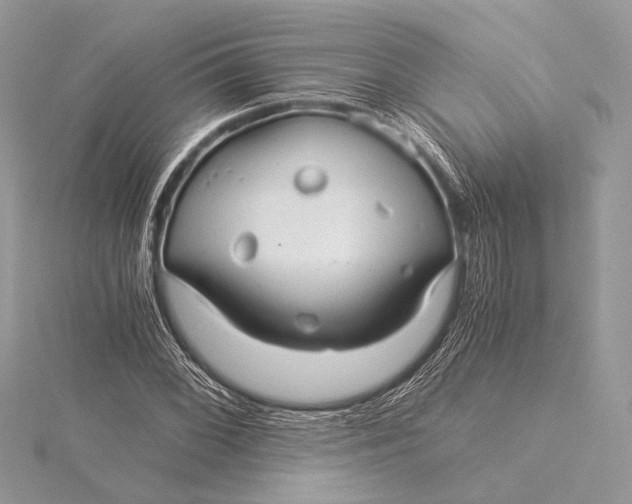 X0000115821068200912041623