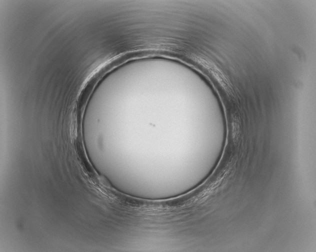 X0000115821069200912041623